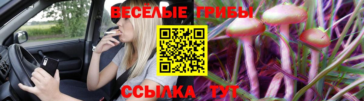 Галлюциногенные грибы Magic Shrooms  Вход с VPN  Елабуга 